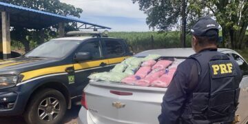 PRF apreende 90 mil comprimidos de ecstasy e faz 2ª maior apreensão da história do órgão – VEJA O VÍDEO