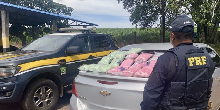 PRF apreende 90 mil comprimidos de ecstasy e faz 2ª maior apreensão da história do órgão – VEJA O VÍDEO