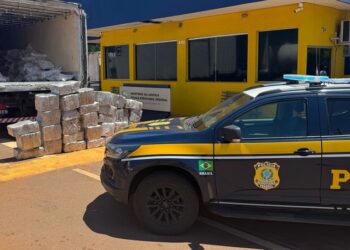 PRF apreende 989 Kg de maconha em Três Lagoas (MS)