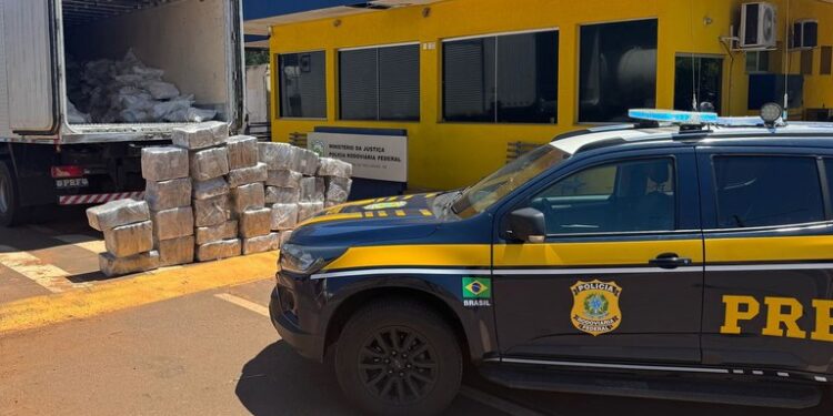 PRF apreende 989 Kg de maconha em Três Lagoas (MS)