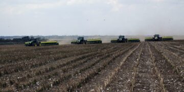 Safra de soja em Rondônia aproxima-se dos 80% de área colhida com expectativa positiva para 2025