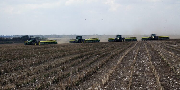 Safra de soja em Rondônia aproxima-se dos 80% de área colhida com expectativa positiva para 2025