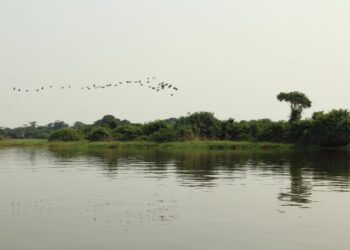 Etapa estadual da Conferência Nacional do Meio Ambiente discutirá cinco eixos temáticos