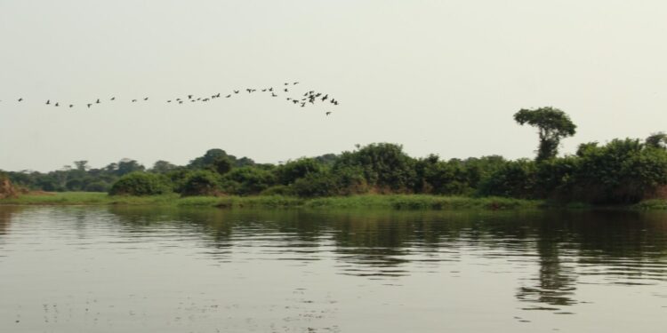 Etapa estadual da Conferência Nacional do Meio Ambiente discutirá cinco eixos temáticos