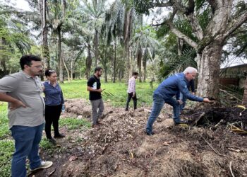 Equipe da Prefeitura de Porto Velho visita Ariquemes para conhecer projeto de compostagem