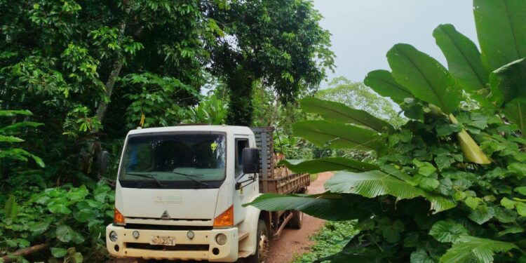 Município mobiliza apoio a produtores rurais afetados pela elevação do nível do rio Madeira