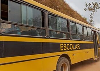MP obtém liminar para que Município de Campo Novo oferte, em 72 horas, transporte escolar a alunos sem aulas desde o início do ano