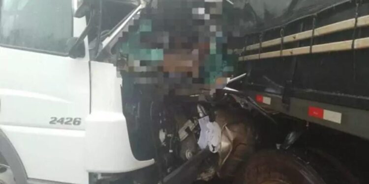 URGENTE: batida frontal de caminhões deixa motorista morto em trecho de rodovia federal entre as cidades de Vilhena e Comodoro (MT)
