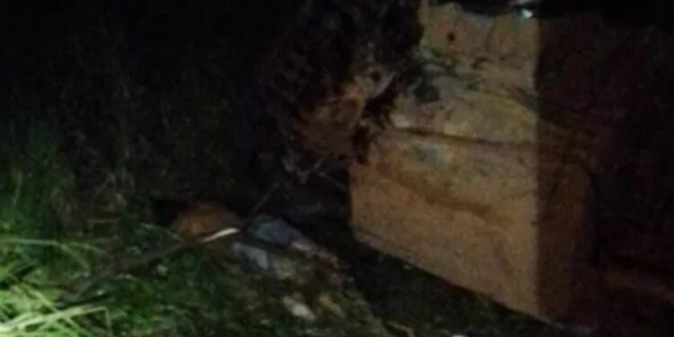 Colisão Fatal entre caminhão e carro na BR-364 deixa vítima Fatal