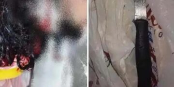 Mulher sobrevive após levar 25 facadas em Rondônia