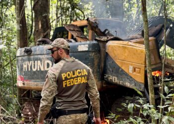 PF e IBAMA combatem o garimpo ilegal em terras indígenas na divisa entre Rondônia e Mato Grosso