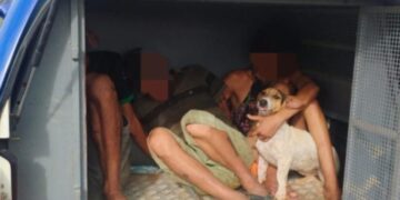 CACHORRINHO PRESO? Em Machadinho D” Oeste cachorrinho é levado junto com criminosos acusados de cometerem furto