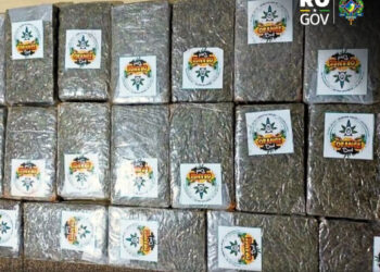 POLÍCIA CIVIL IDENTIFICA E PRENDE TRAFICANTE EM NOVA MAMORÉ