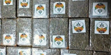 POLÍCIA CIVIL IDENTIFICA E PRENDE TRAFICANTE EM NOVA MAMORÉ