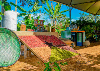 Rondônia destaca-se como ambiente de negócios e bate recorde de exportações