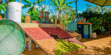 Rondônia destaca-se como ambiente de negócios e bate recorde de exportações