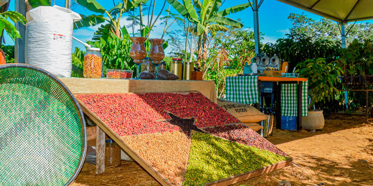 Rondônia destaca-se como ambiente de negócios e bate recorde de exportações