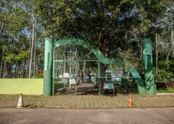 Castra+Rondônia realiza mutirão de castrações no Parque Circuito entre os dias 1º e 5 de abril