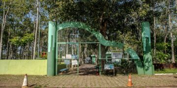 Castra+Rondônia realiza mutirão de castrações no Parque Circuito entre os dias 1º e 5 de abril