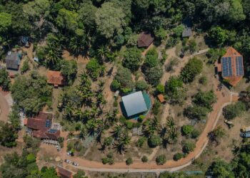 Conselho Municipal de Meio Ambiente retoma sessões ordinárias a partir de 17 de março