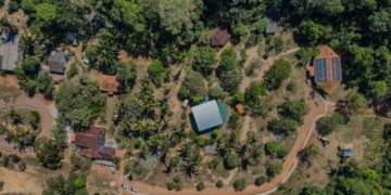 Conselho Municipal de Meio Ambiente retoma sessões ordinárias a partir de 17 de março