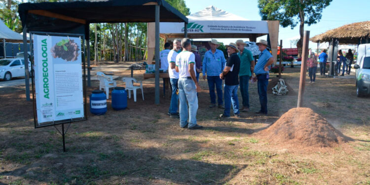 Governo de RO impulsiona agricultura familiar com tecnologia e sustentabilidade durante 12ª Rondônia Rural Show Internacional