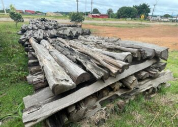 PMRO – Polícia Militar Ambiental realiza leilão de bens apreendidos em Machadinho D’Oeste