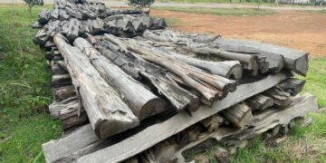 PMRO – Polícia Militar Ambiental realiza leilão de bens apreendidos em Machadinho D’Oeste