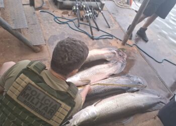 Operação IARA Combate Pesca Ilegal e Apreende Pescado no Rio Madeira