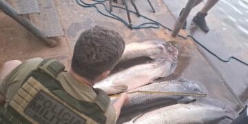 Operação IARA Combate Pesca Ilegal e Apreende Pescado no Rio Madeira