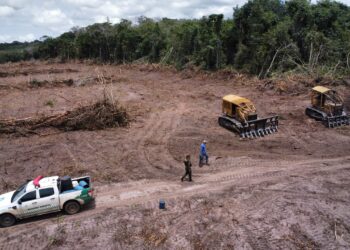 Operação Hileia Flagra Desmatamento de Mais de 90 Hectares