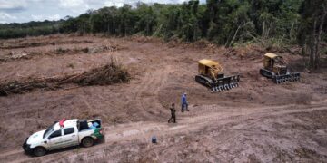 Operação Hileia Flagra Desmatamento de Mais de 90 Hectares
