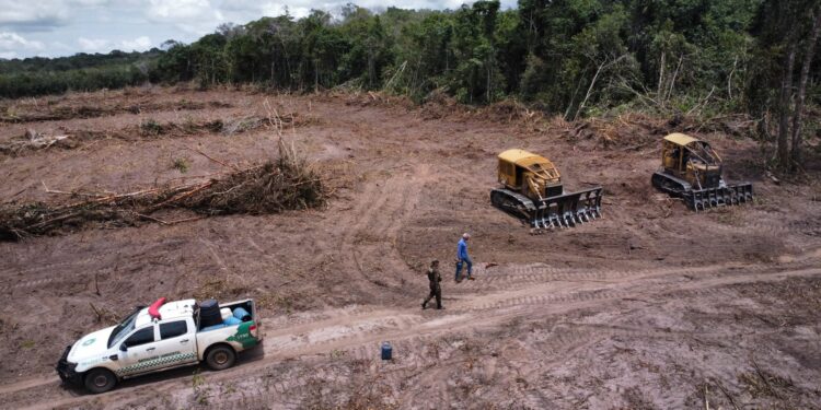 Operação Hileia Flagra Desmatamento de Mais de 90 Hectares