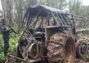 Operação Hileia Flagra Extração Ilegal de Madeira na Reserva Extrativista Angelim em Machadinho D’oeste