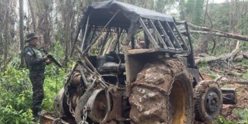 Operação Hileia Flagra Extração Ilegal de Madeira na Reserva Extrativista Angelim em Machadinho D’oeste