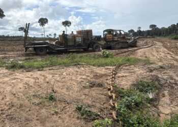 Operação HILÉIA: BPA e SEDAM Flagram Desmatamento Ilegal e Apreendem Maquinário em Costa Marques