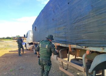 Operação HILÉIA: BPA Apreende Carga de Madeira Serrada Transportada Irregularmente em Vilhena