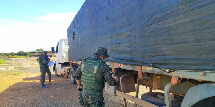 Operação HILÉIA: BPA Apreende Carga de Madeira Serrada Transportada Irregularmente em Vilhena