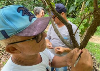 Governo de RO impulsiona gestão pública na 3ª Reunião do Polo Cacau Amazônico