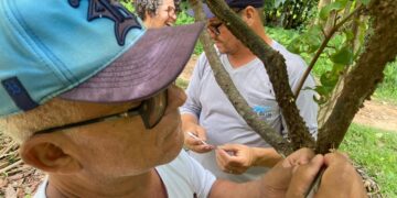 Governo de RO impulsiona gestão pública na 3ª Reunião do Polo Cacau Amazônico