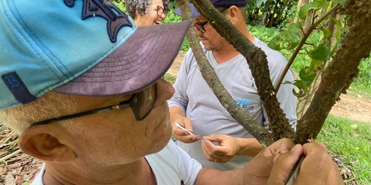 Governo de RO impulsiona gestão pública na 3ª Reunião do Polo Cacau Amazônico