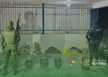 Cerca de 80 quilos de droga são apreendidos pelas forças de Segurança do Estado