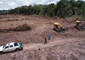 Operação Hileia 2025 – Ação Integrada Alcança 32 Municípios e Combate o Desmatamento em Rondônia