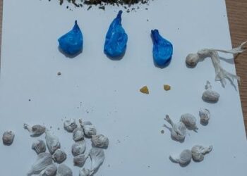Polícia Militar Prende Suspeitos de Tráfico de Drogas em Anfiteatro Municipal