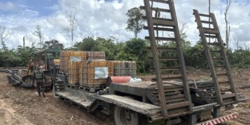 Governo de RO aplica mais de R$ 37 milhões em multas por ilícitos ambientais em nova fase da “Operação Hileia”