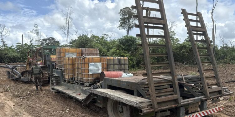 Governo de RO aplica mais de R$ 37 milhões em multas por ilícitos ambientais em nova fase da “Operação Hileia”