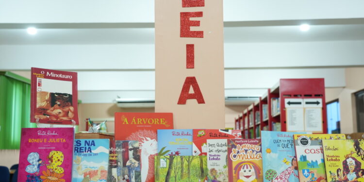 Biblioteca Municipal Francisco Meireles e Ajeb-RO promovem campanha de arrecadação de livros
