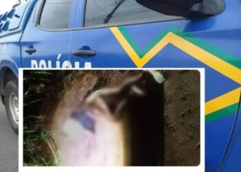 Mulher de 36 anos é assassinada com várias facadas