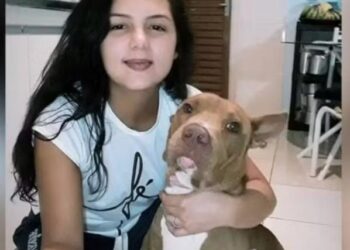 Ele mordeu na jugular”: dona de pitbull morre ao ser atacada pelo próprio cachorro