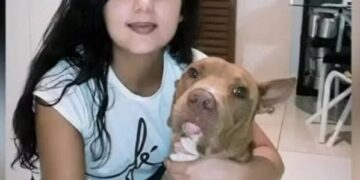 Ele mordeu na jugular”: dona de pitbull morre ao ser atacada pelo próprio cachorro